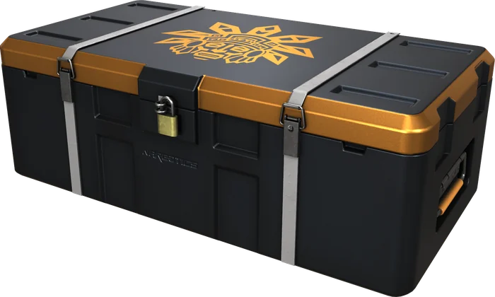 A NARCOTICS weapon case